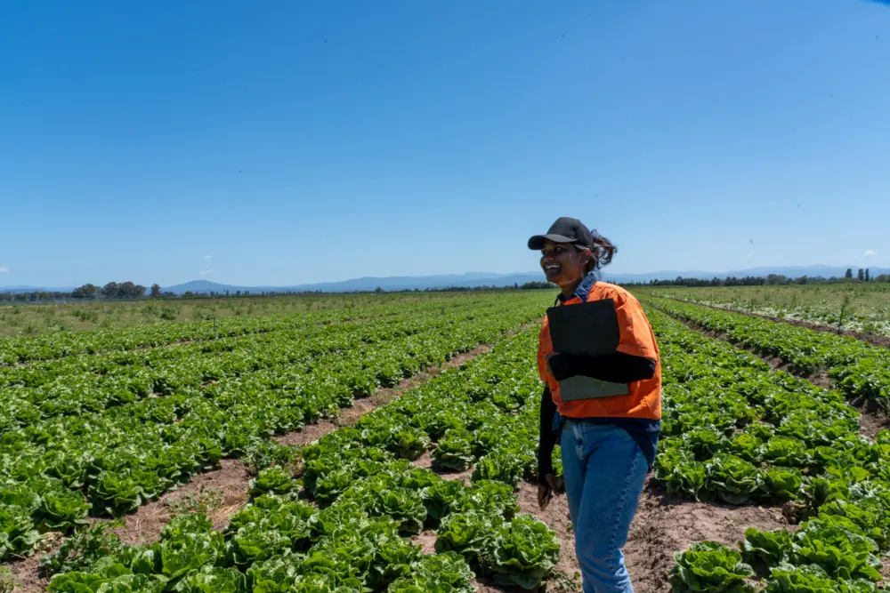 Harvest Manager
