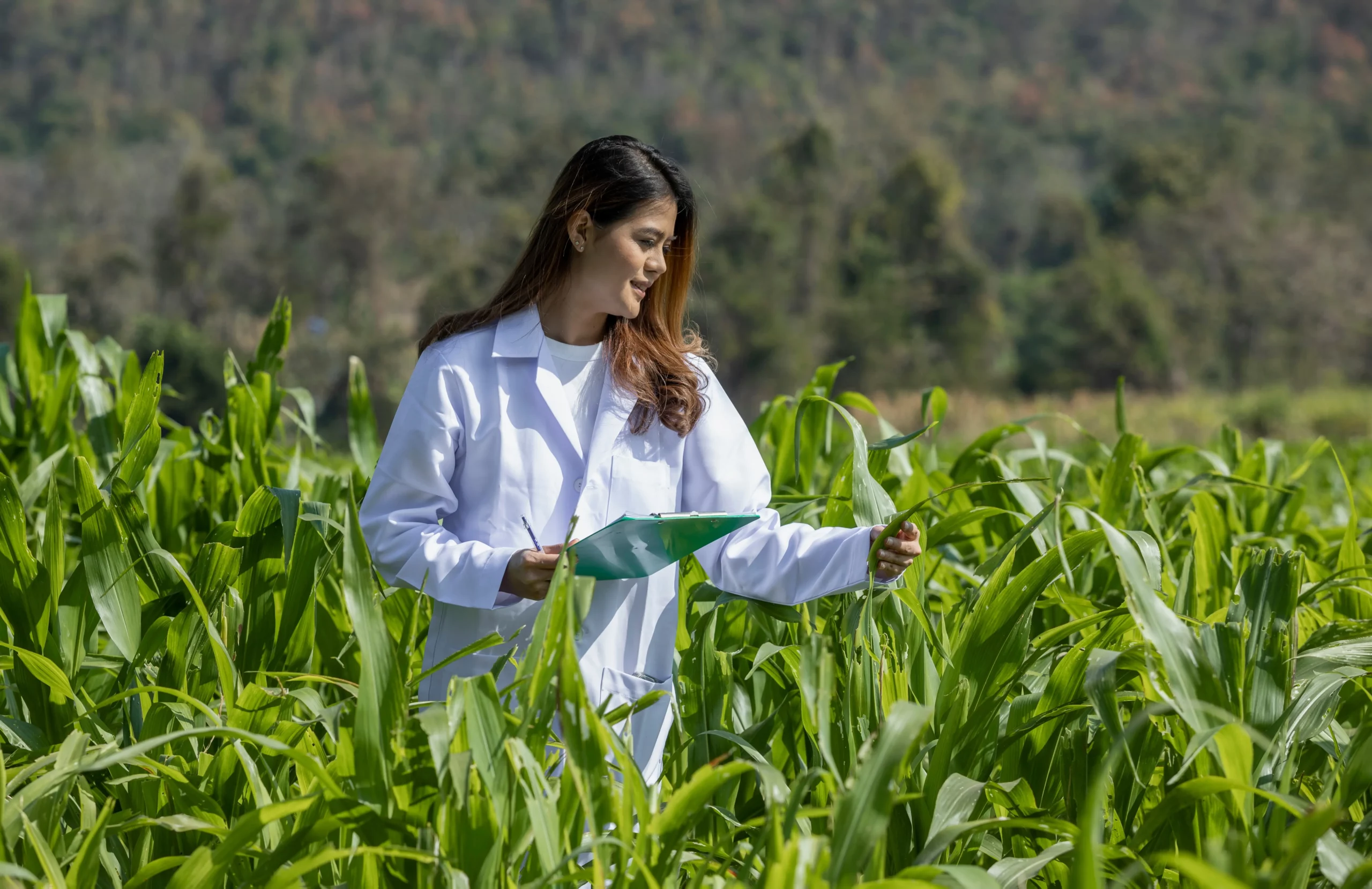 Plant Pathologist